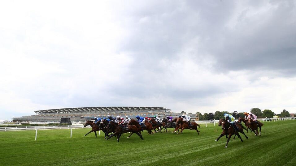 Ascot